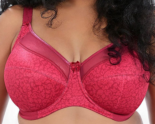 Goddess Keira Best Bras for Large Busts