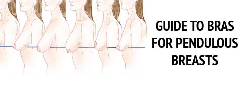 guide bras pendulous breasts