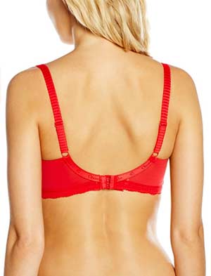 best plunge bra for big busts